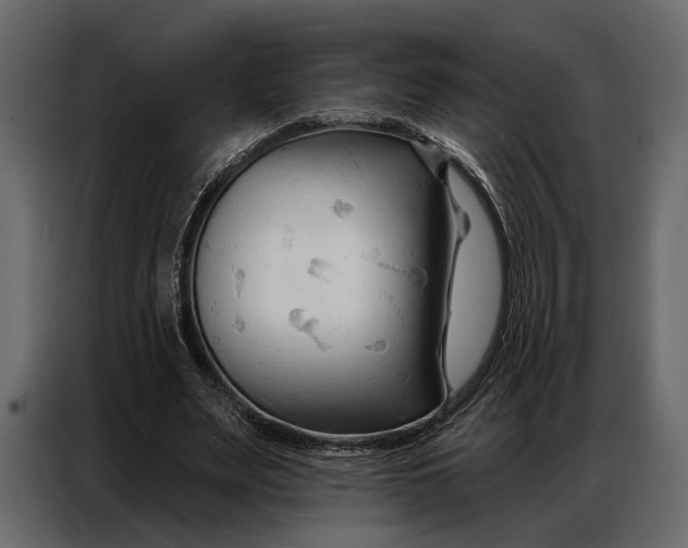 X0000086880487200705071205