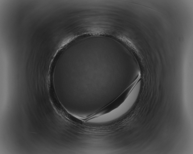 X0000086880488200705071205