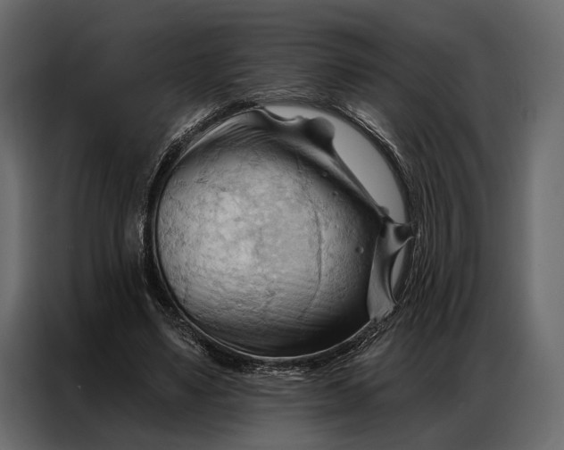 X0000086880491200705071205