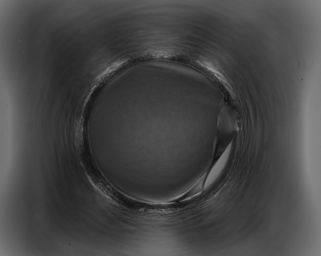 X0000086880492200705071205