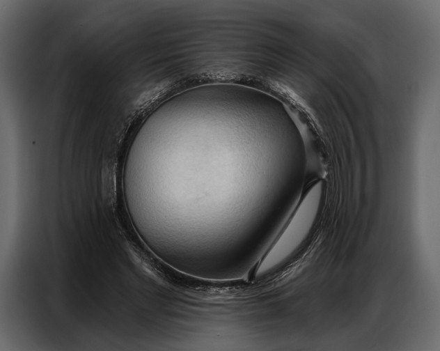 X0000086880493200705071205