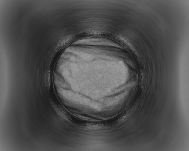 X0000086880494200705071205