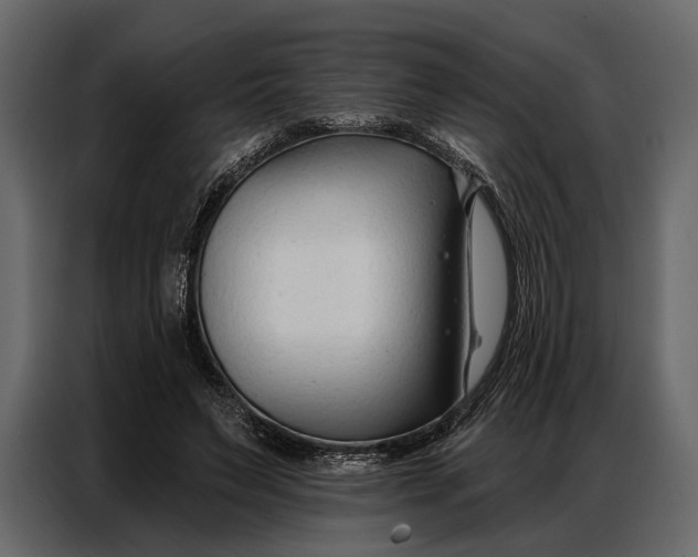 X0000086880495200705071205