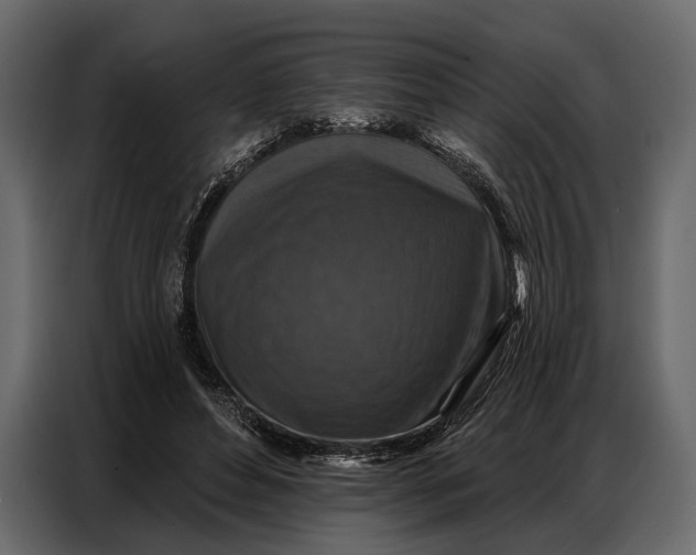 X0000086880496200705071205