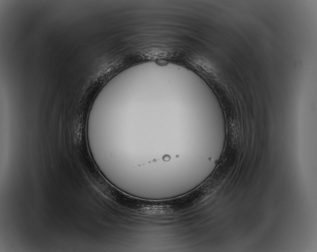 X0000086880499200705071204