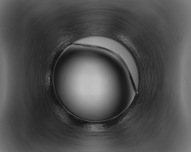 X0000086880501200705071204