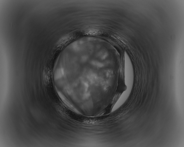 X0000086880503200705071204