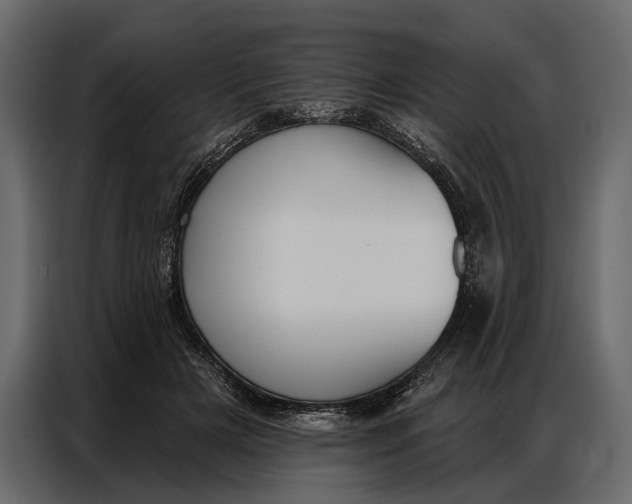 X0000086880505200705071204