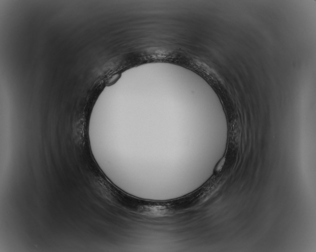 X0000086880509200705071204