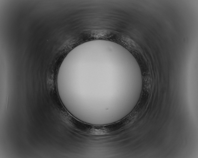 X0000086880510200705071204