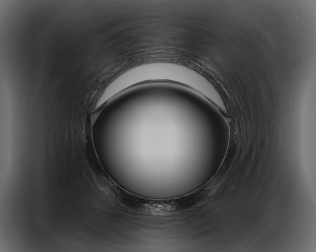 X0000086880512200705071204