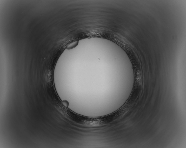 X0000086880514200705071204