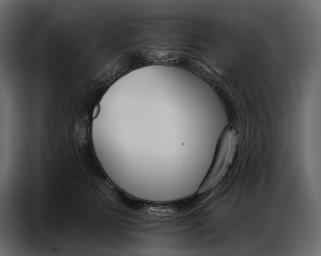 X0000086880515200705071204