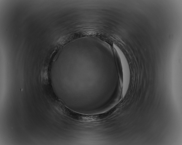 X0000086880516200705071204