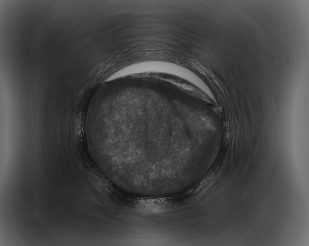 X0000086880517200705071204