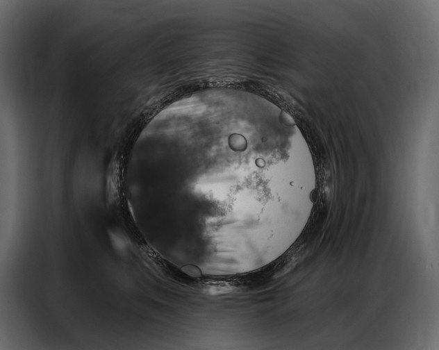 X0000086880519200705071204