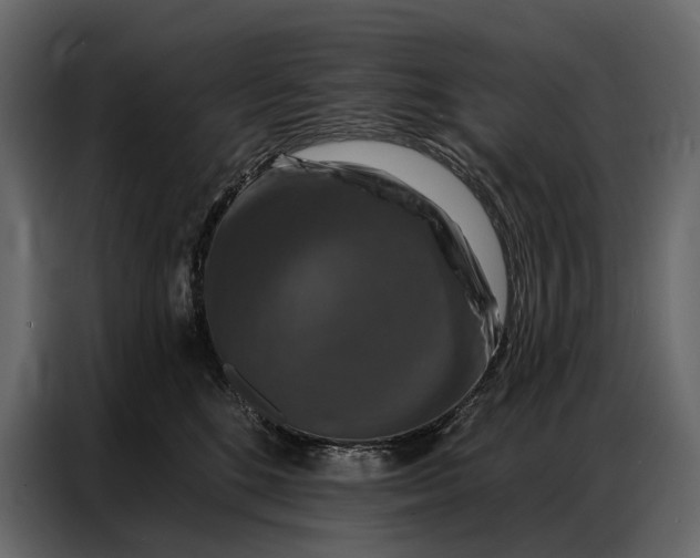 X0000086880520200705071204