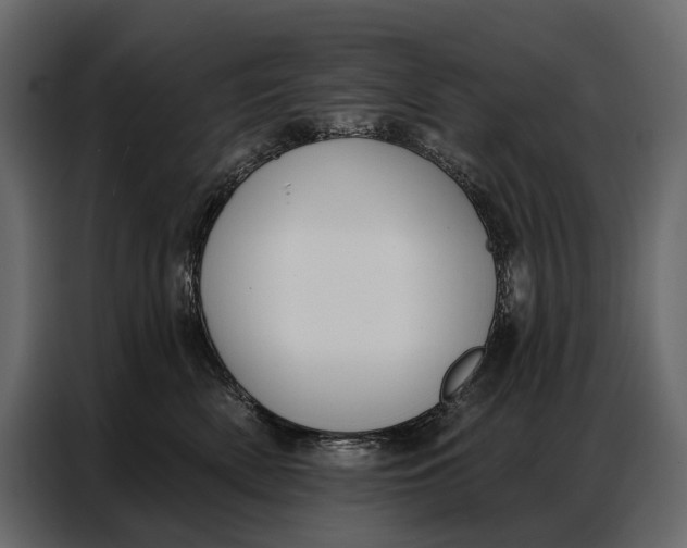 X0000086880522200705071204