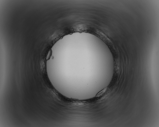 X0000086880523200705071204