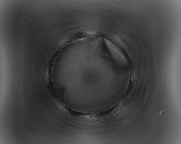 X0000086880524200705071204