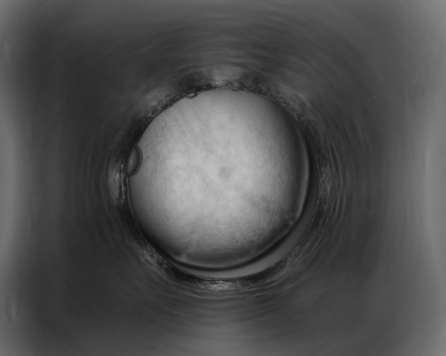 X0000086880527200705071204