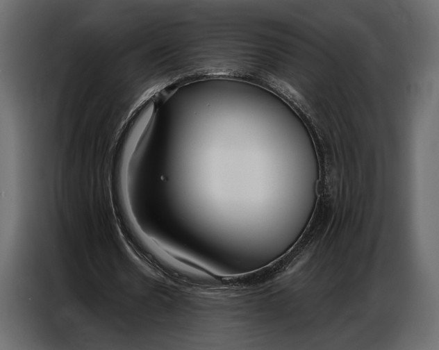 X0000086880530200705071203