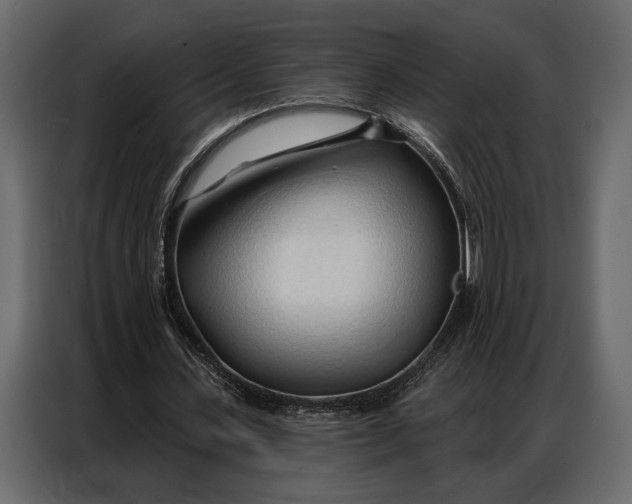 X0000086880531200705071203