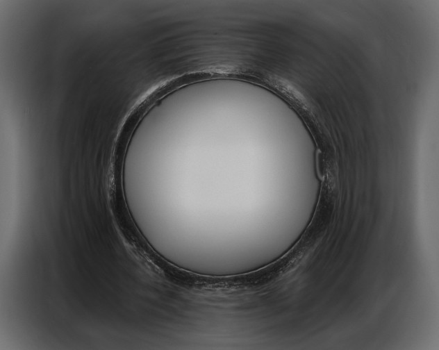 X0000086880532200705071204