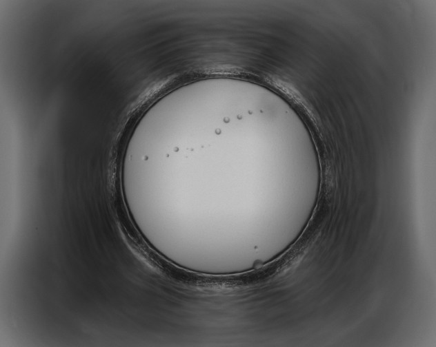 X0000086880533200705071204