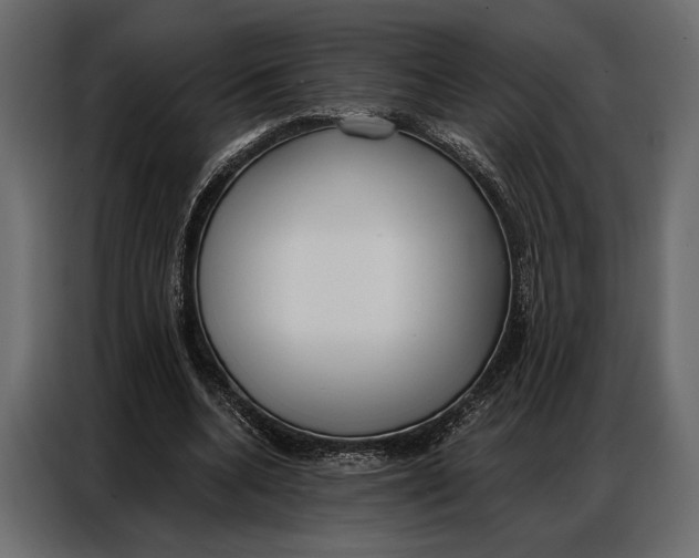 X0000086880536200705071204