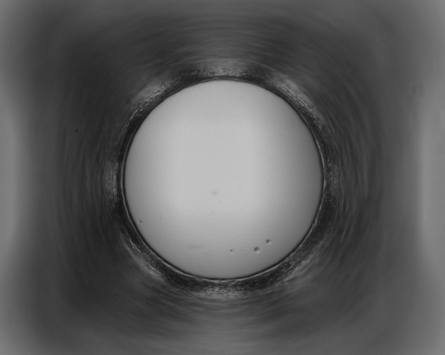 X0000086880537200705071204