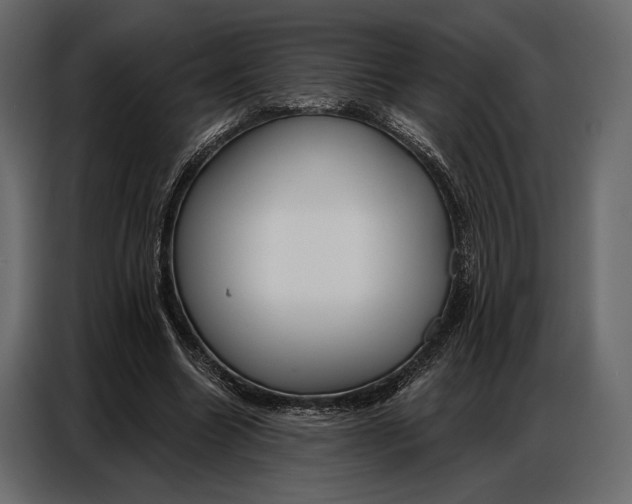 X0000086880538200705071204