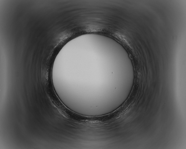 X0000086880539200705071204