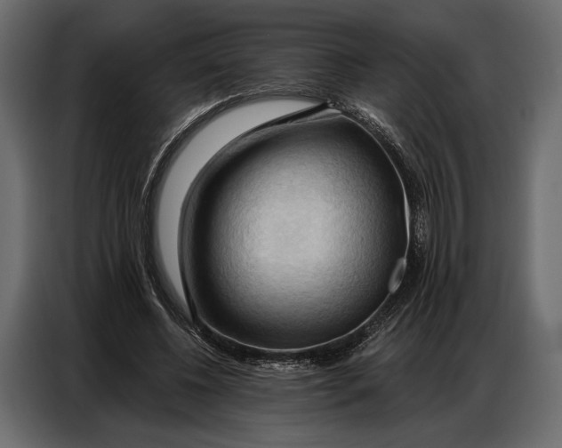 X0000086880540200705071204