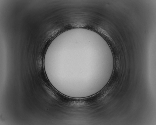 X0000086880541200705071204