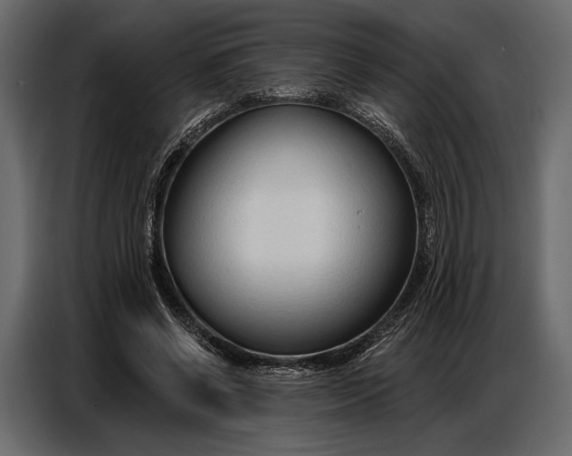 X0000086880542200705071204