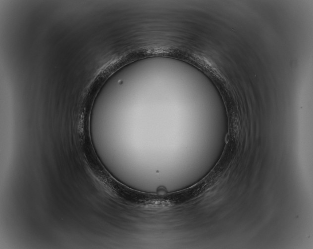 X0000086880543200705071204