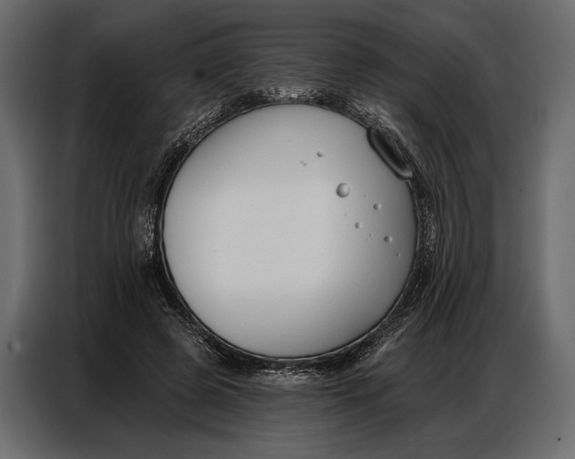 X0000086880545200705071204