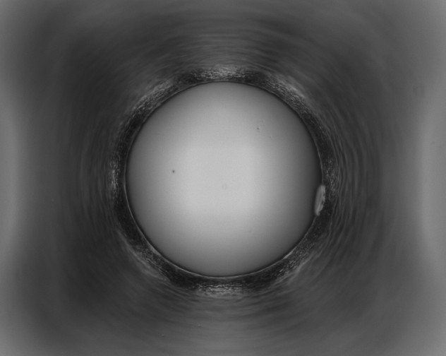 X0000086880546200705071204