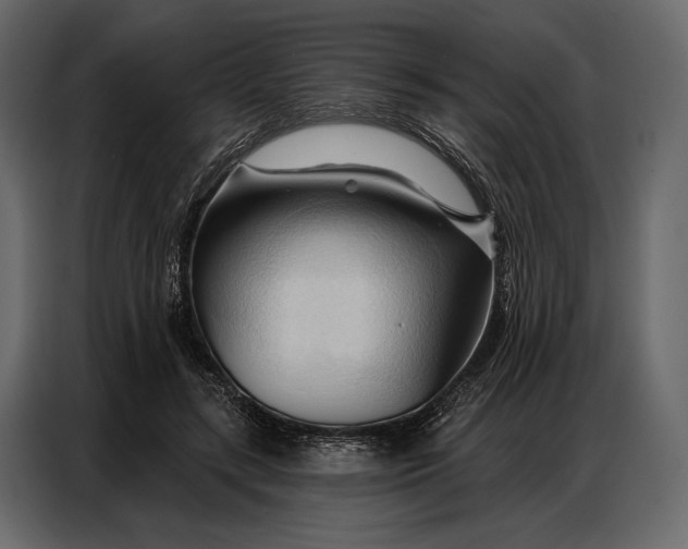 X0000086880547200705071204