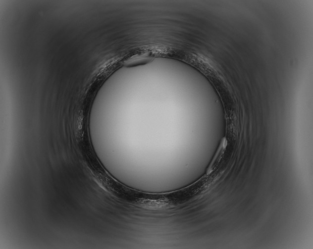 X0000086880548200705071204