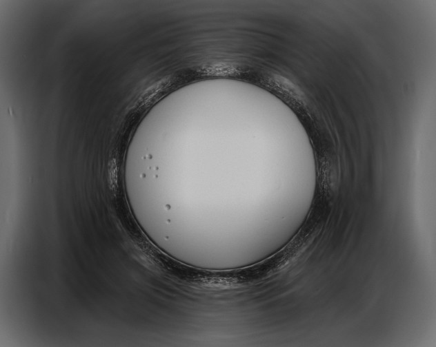 X0000086880549200705071204