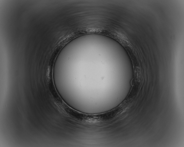 X0000086880550200705071204