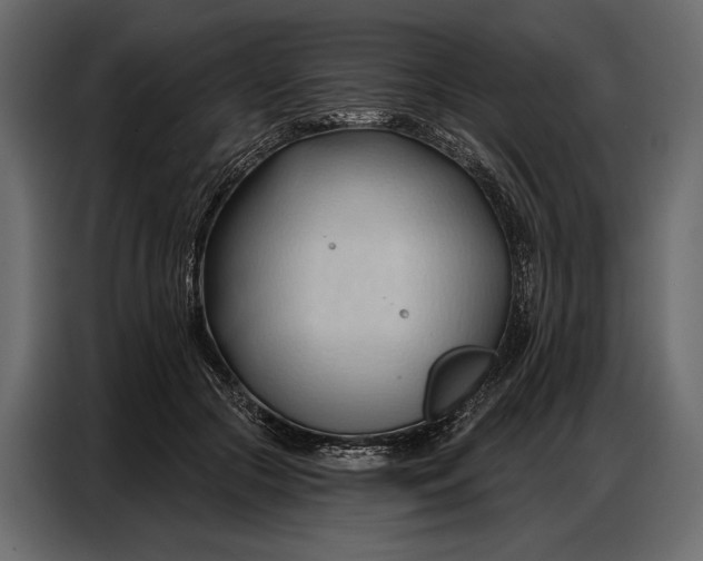 X0000086880553200705071204