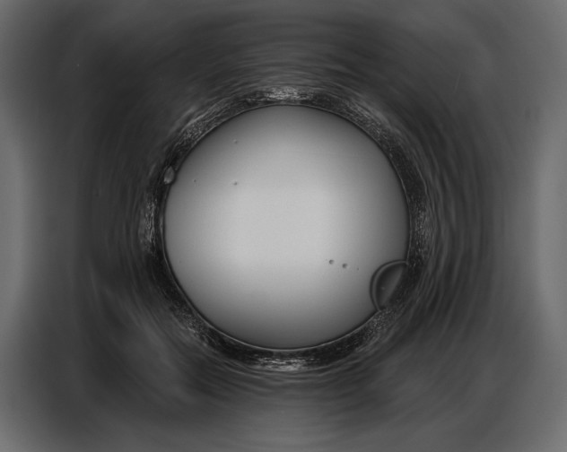 X0000086880554200705071204