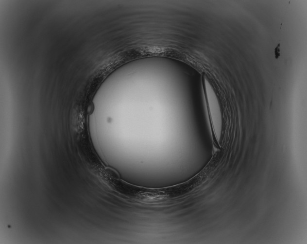 X0000086880555200705071204