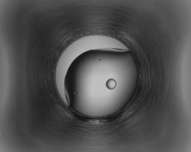 X0000086880558200705071204