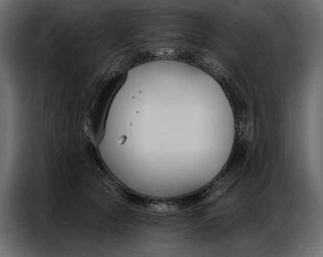 X0000086880561200705071204