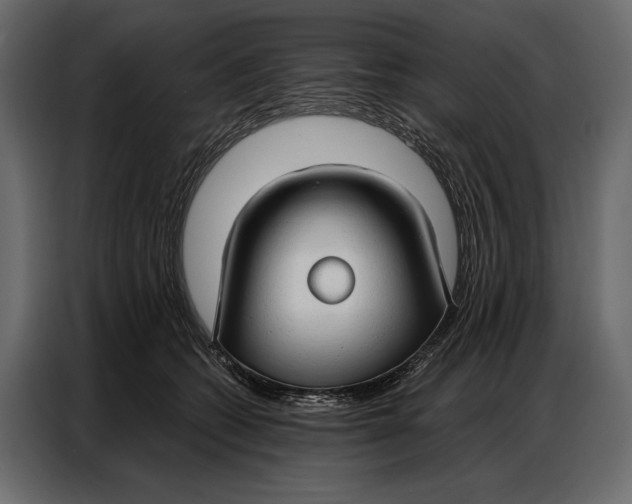 X0000086880562200705071204