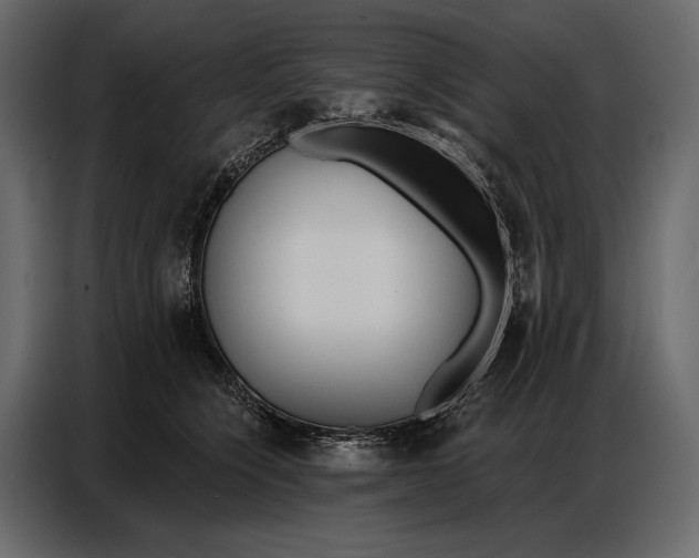 X0000086880564200705071204